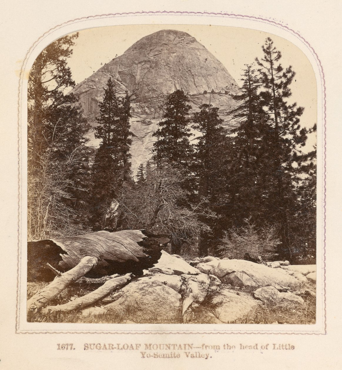  av Thomas Houseworth