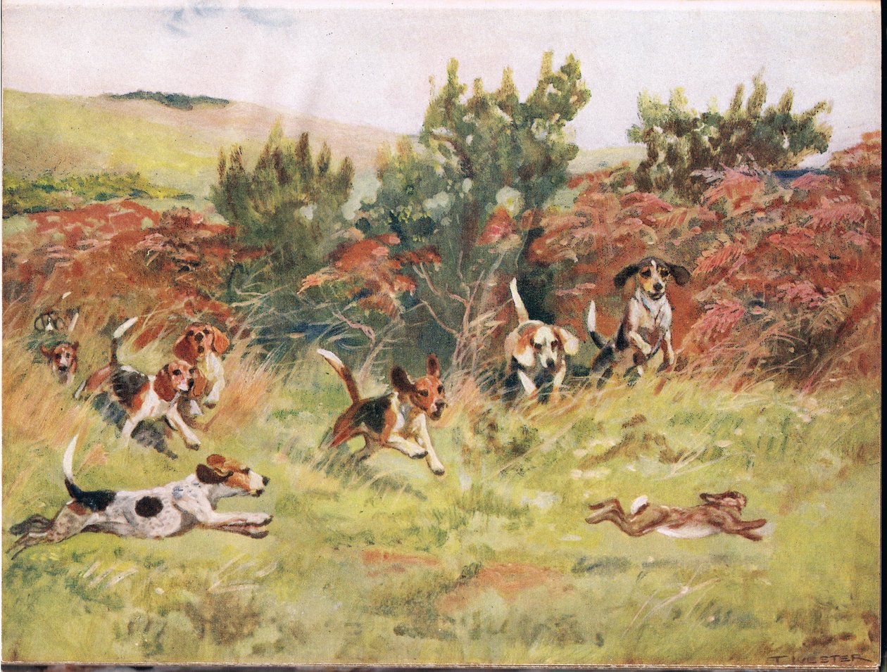 Jager en hare, illustrasjon fra "Hounds" av Thomas Ivester Lloyd