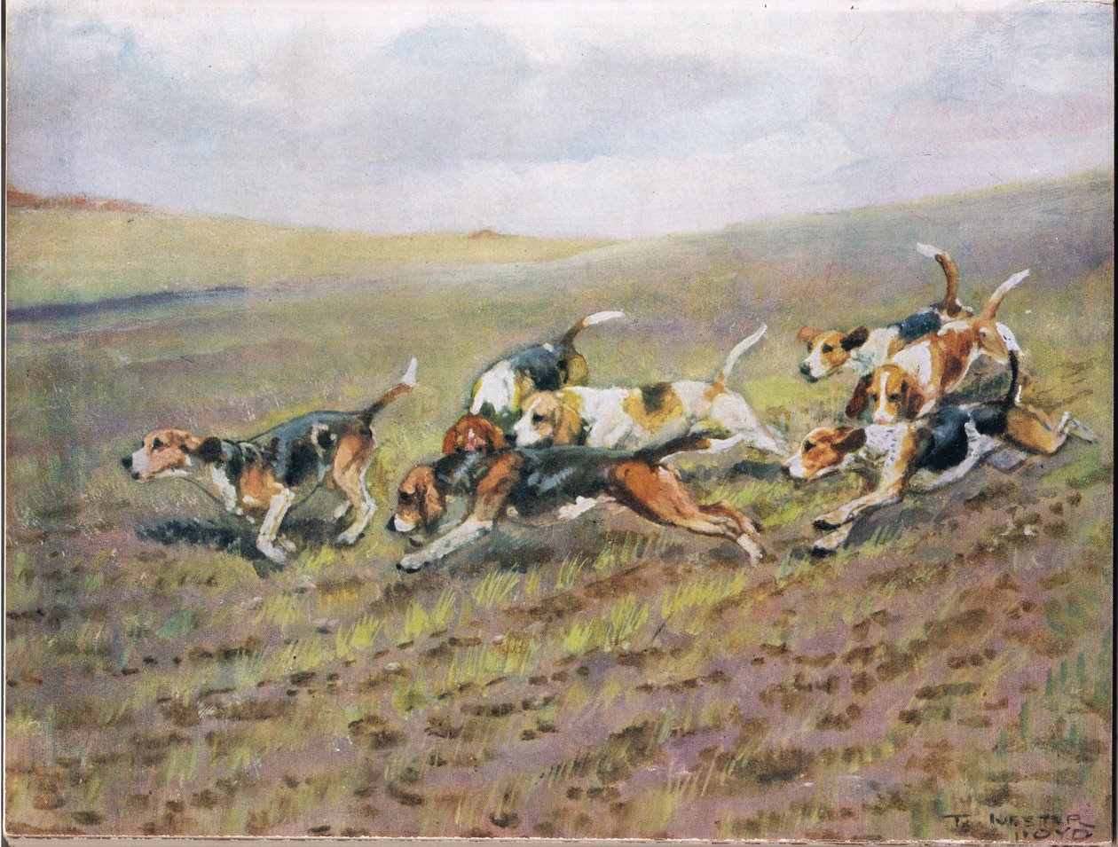 Crossing the Fields, illustrasjon fra 