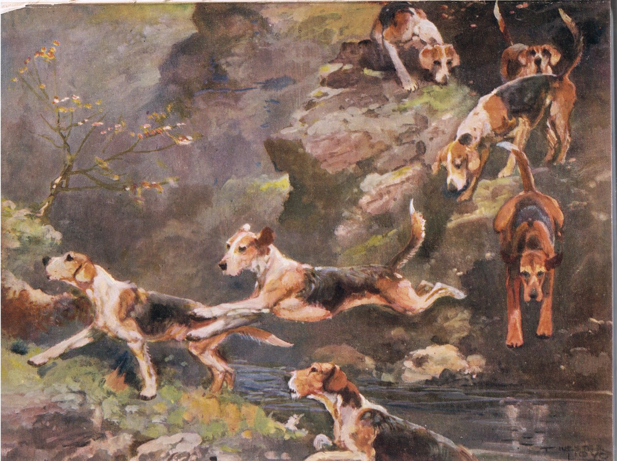 Over the River, illustrasjon fra 'Hounds' av Thomas Ivester Lloyd