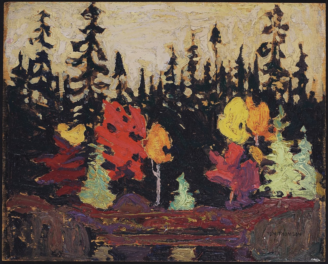 Svart gran og lønn, 1915 (olje på trepanel) av Tom Thomson
