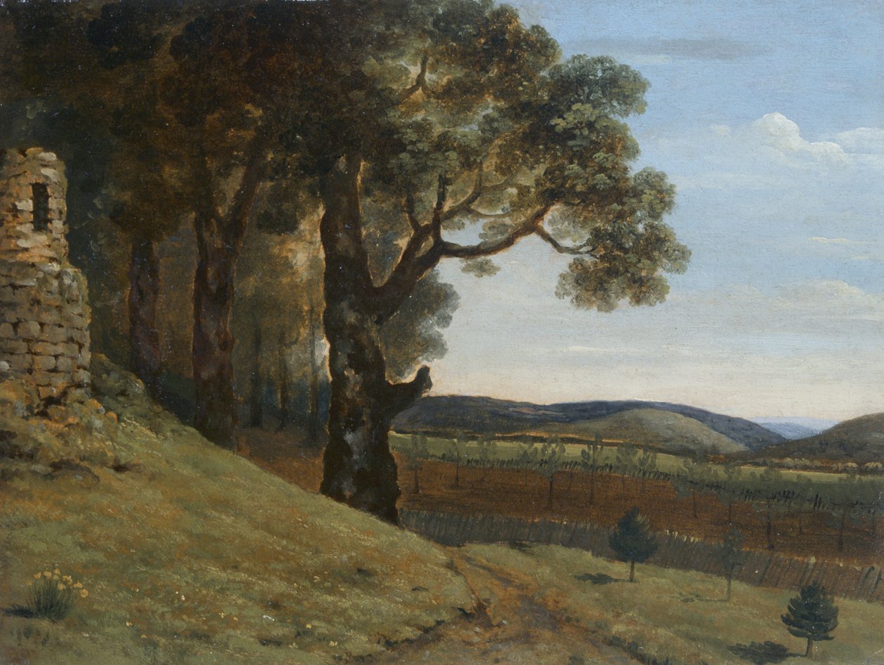  av Thomas Jones