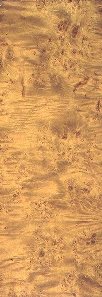 American Cottonwood, ca. 1851-62 (korn på skifer) av Thomas Kershaw