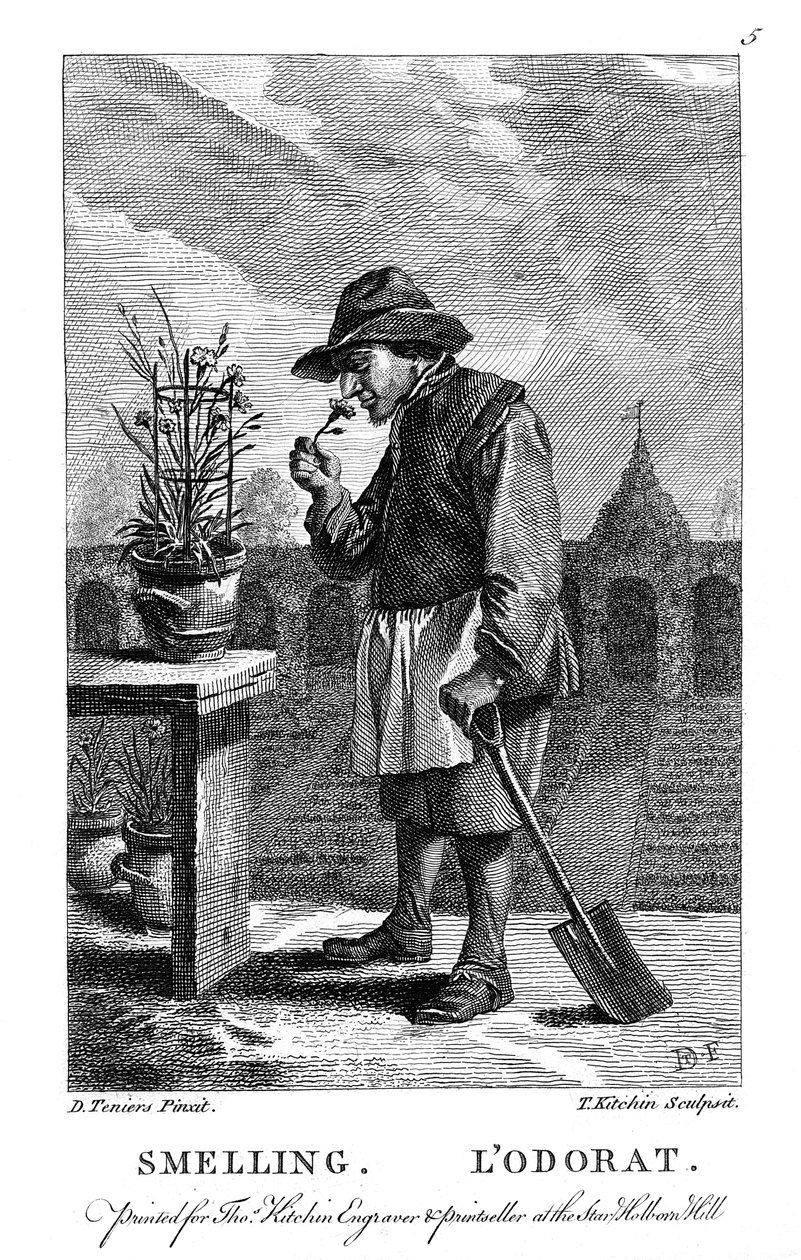 Gartner som lukter en nellik eller rosa Dianthus, c1750 av Thomas Kitchin