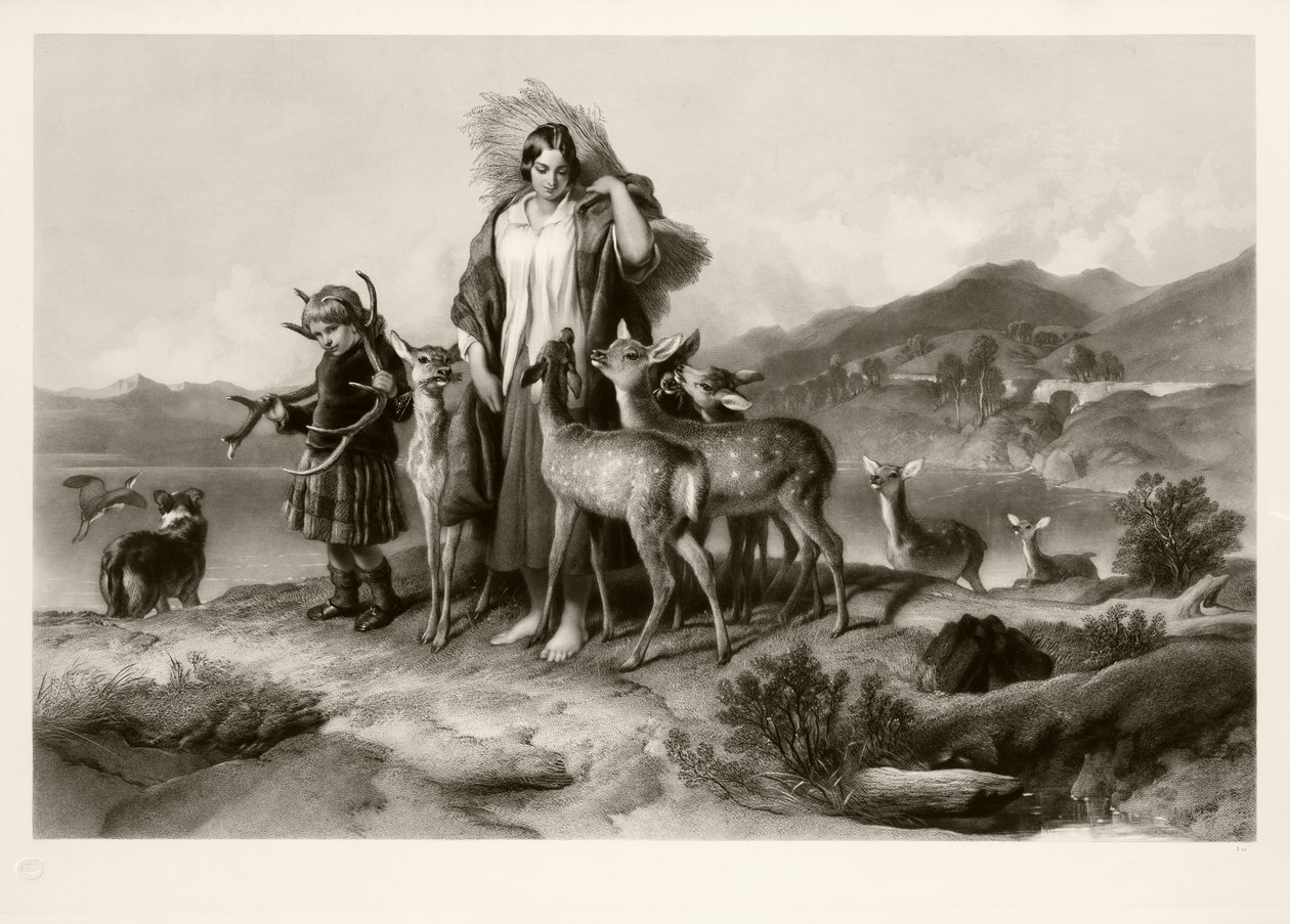 Skogmannens familie (mezzotint) av Thomas Lewis Atkinson