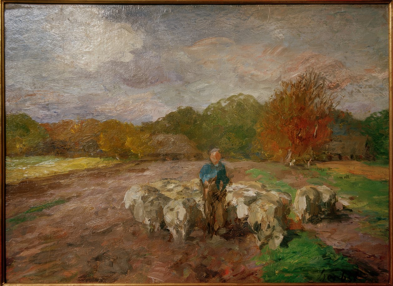 Saueflokk i sollys av Thomas Ludwig Herbst