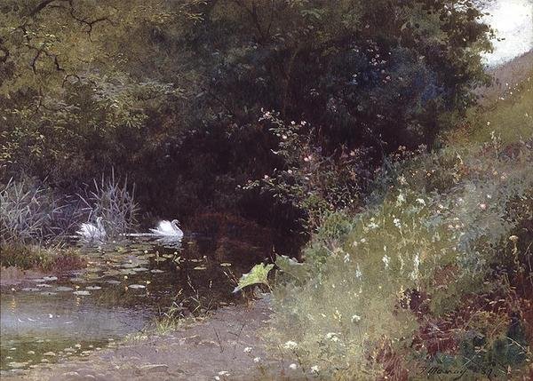 Svaner på en innsjø av Thomas Mackay