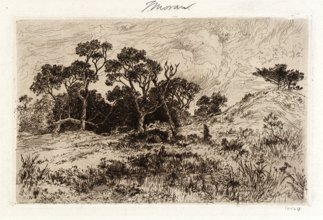  av Thomas Moran