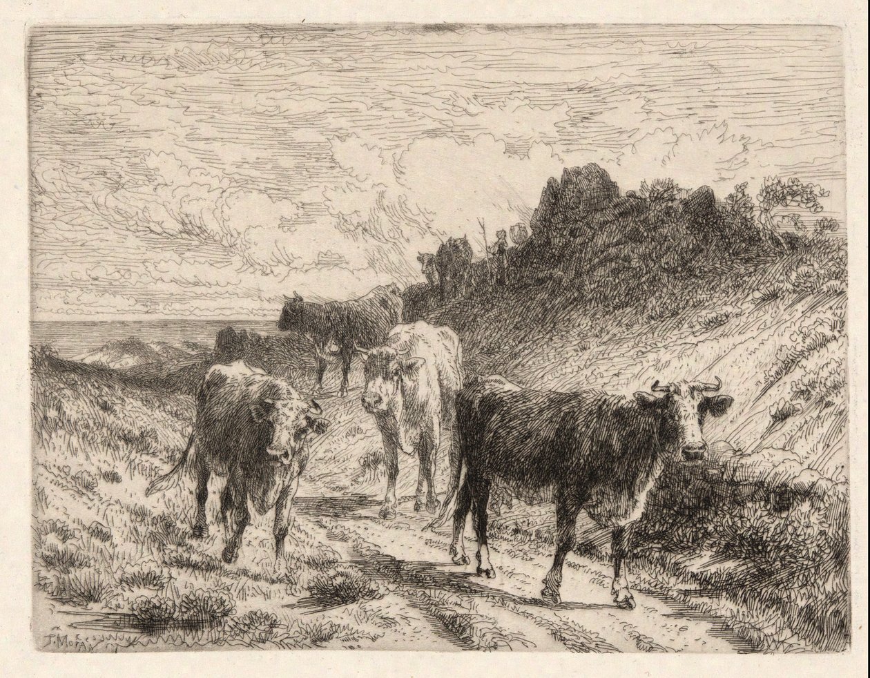 Kyr av Thomas Moran