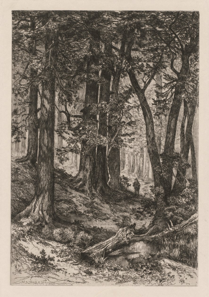  av Thomas Moran