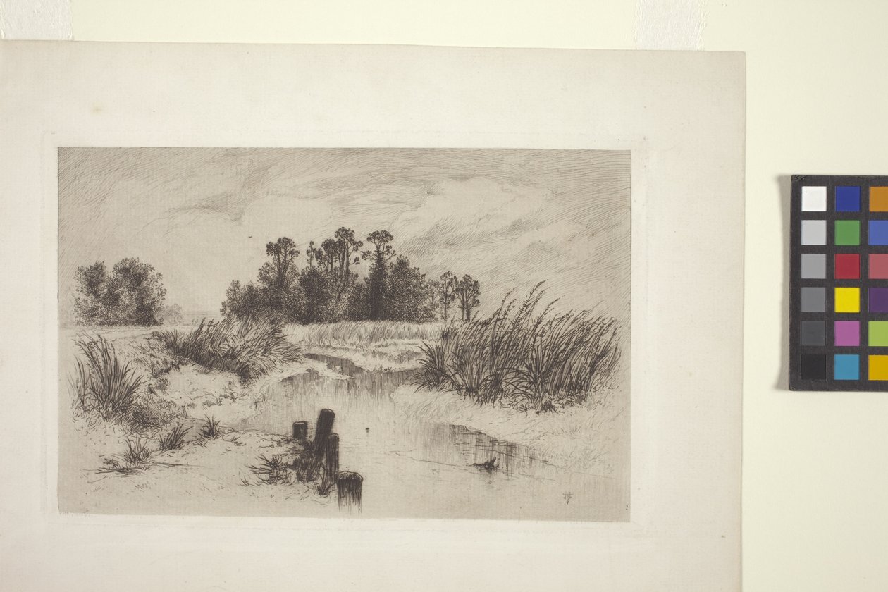 Myrlendt landskap med strøm (etsing på papir) av Thomas Moran