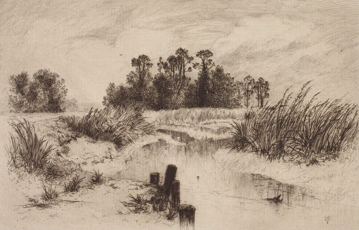 Sumpete landskap med bekk av Thomas Moran