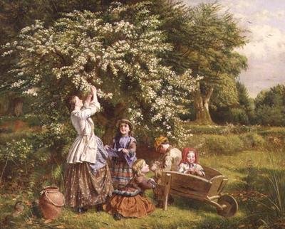 Samler maiblomst av Thomas P. Hall