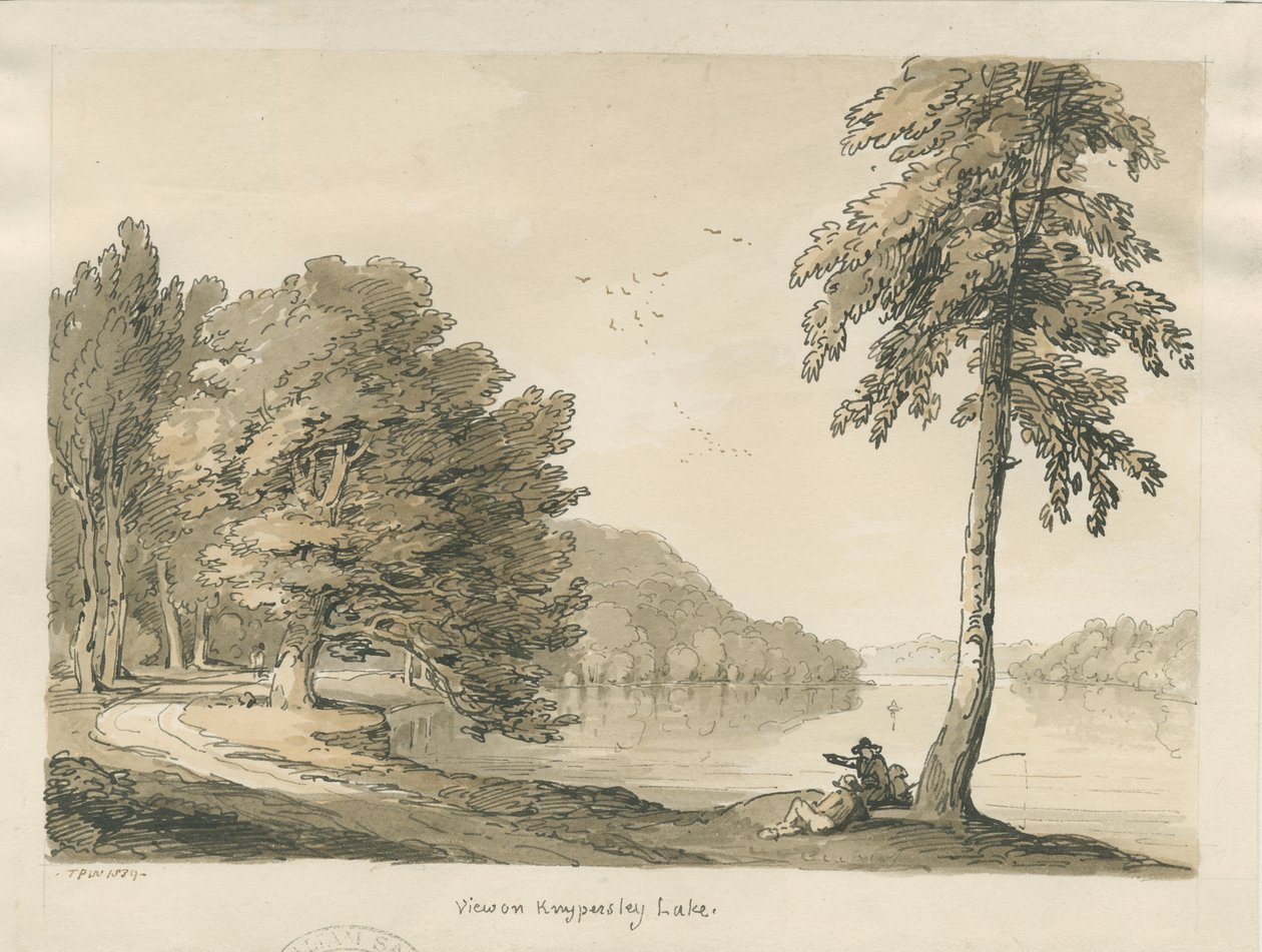 Biddulph Moor - The Bride-Stones: gravering av Thomas Peploe Wood