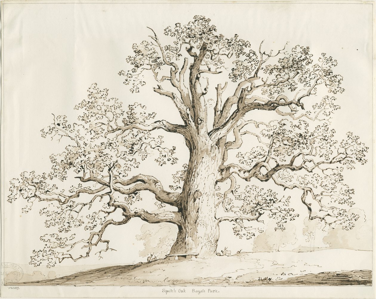 Blithfield - Squich Oak: penn og vask, 1837 av Thomas Peploe Wood