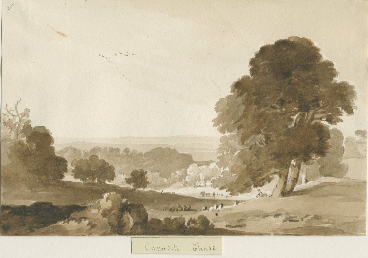 Cannock Chase: sepia vask tegning, nd [?1839] av Thomas Peploe Wood