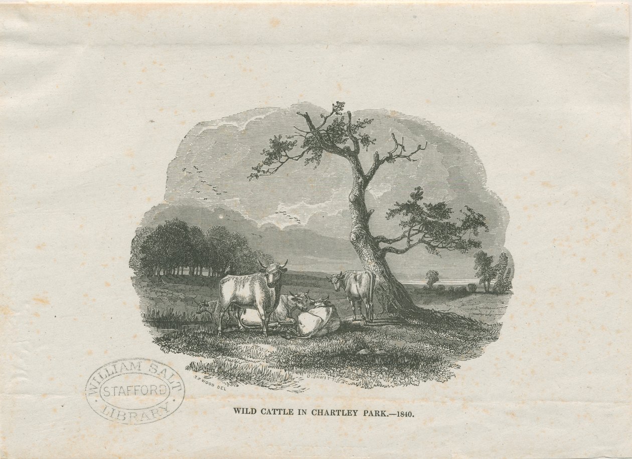 Chartley Hall - Park: tresnittsgravering av Thomas Peploe Wood