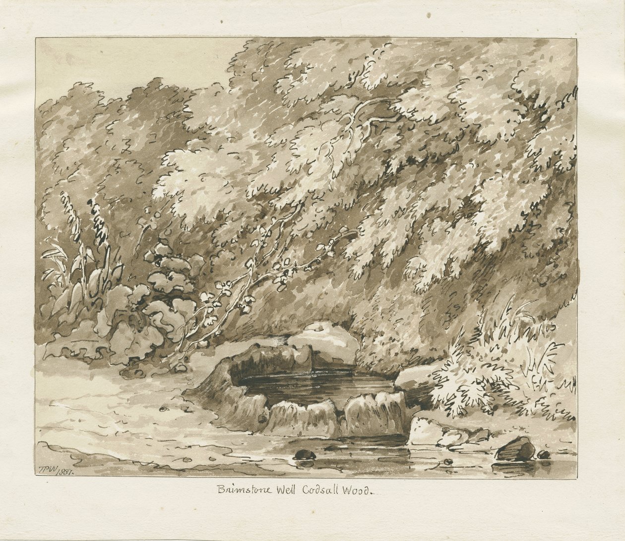 Codsall Wood - Brimstone Well: sepia tegning av Thomas Peploe Wood