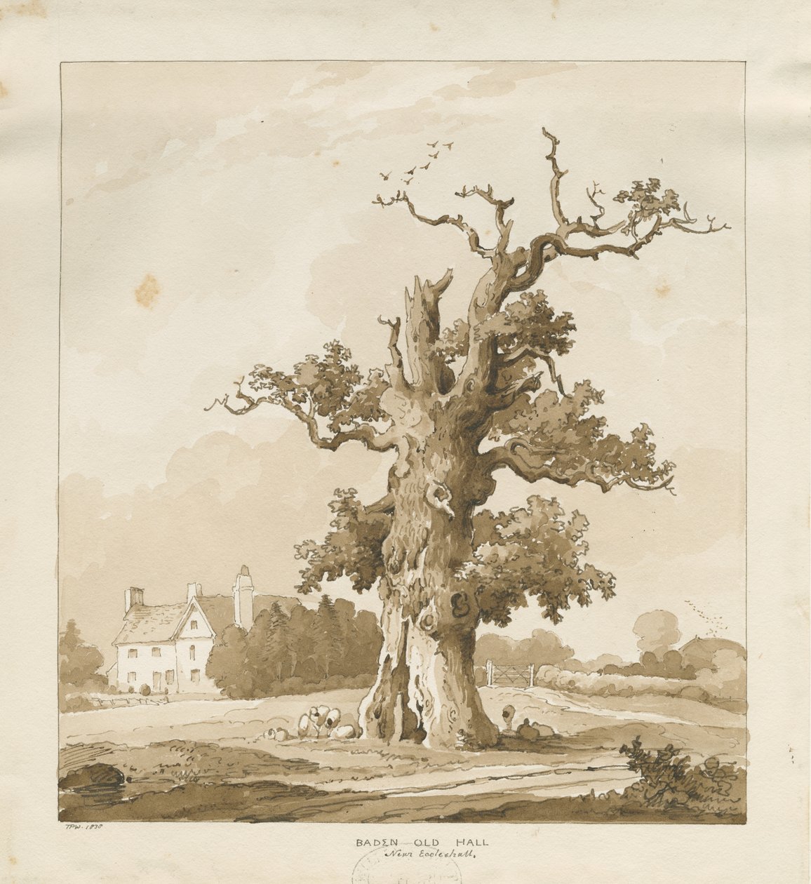 Eccleshall - Baden Old Hall: sepia-tegning av Thomas Peploe Wood
