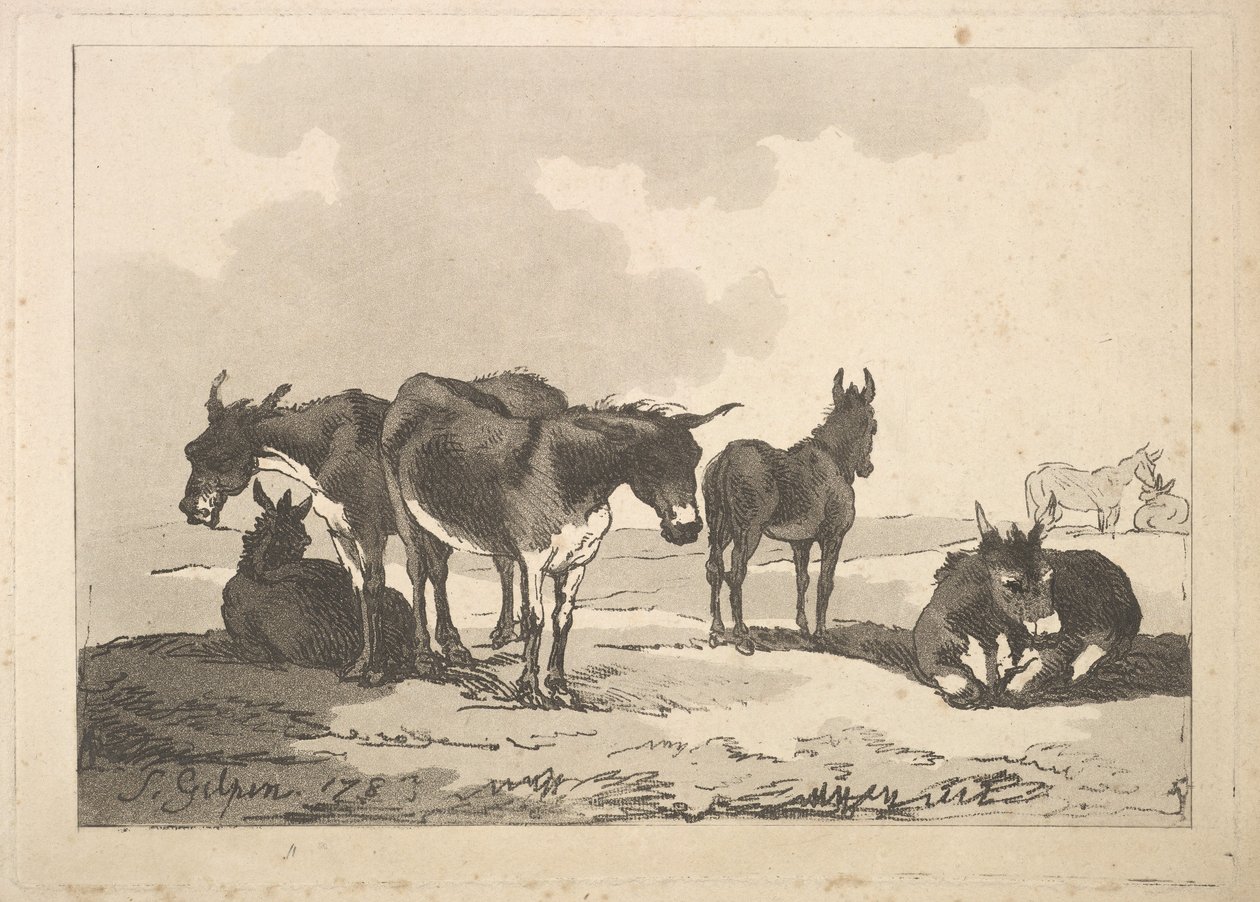 En gruppe på fem esler, tre stående, to liggende, 1783-87. av Thomas Rowlandson