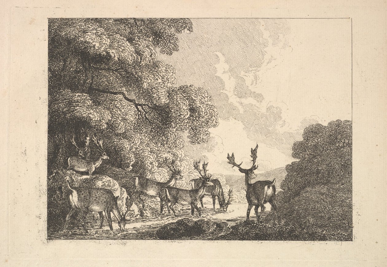 En gruppe hjorter som drikker, 1784-88. av Thomas Rowlandson