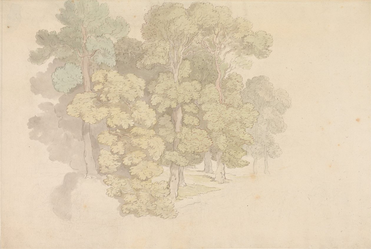 En gruppe trær av Thomas Rowlandson