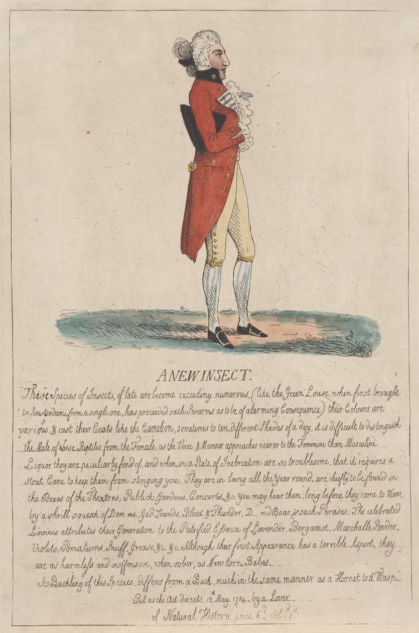 Et nytt insekt av Thomas Rowlandson