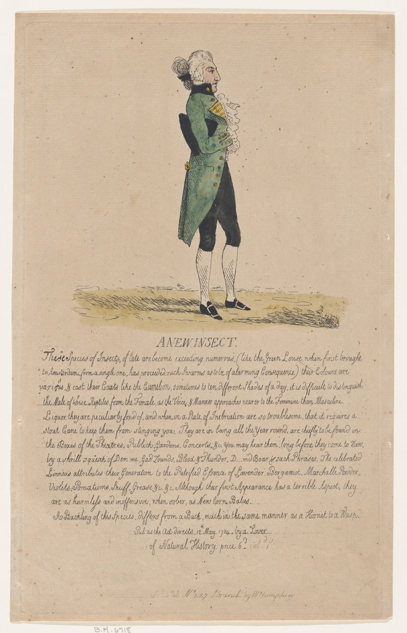 Et nytt insekt, 12. mai 1784., 12. mai 1784. av Thomas Rowlandson
