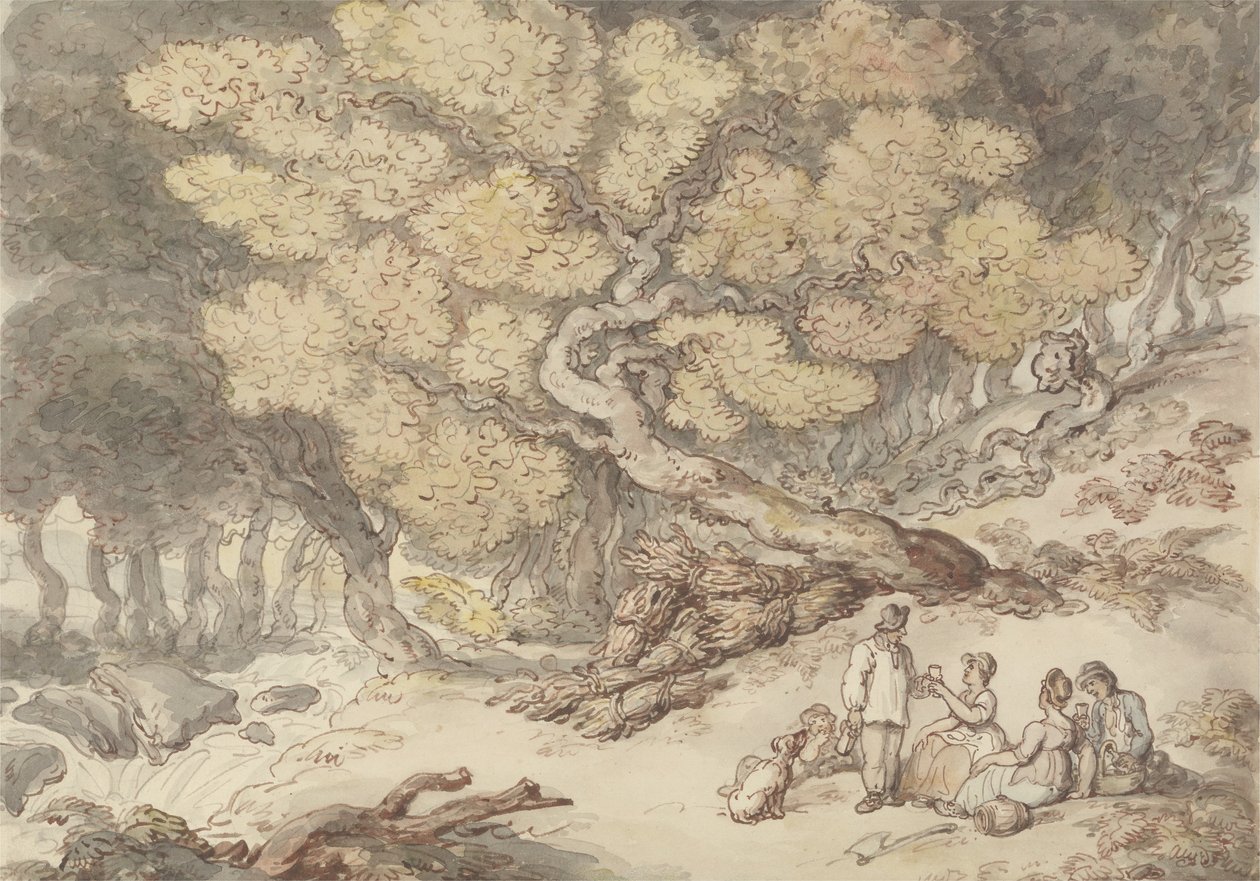A Woodcutter