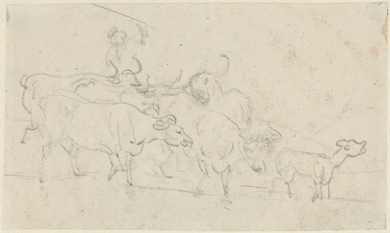Storfe av Thomas Rowlandson