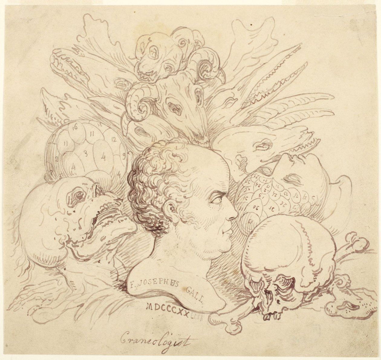 F. Josephus Gall, kraniolog av Thomas Rowlandson