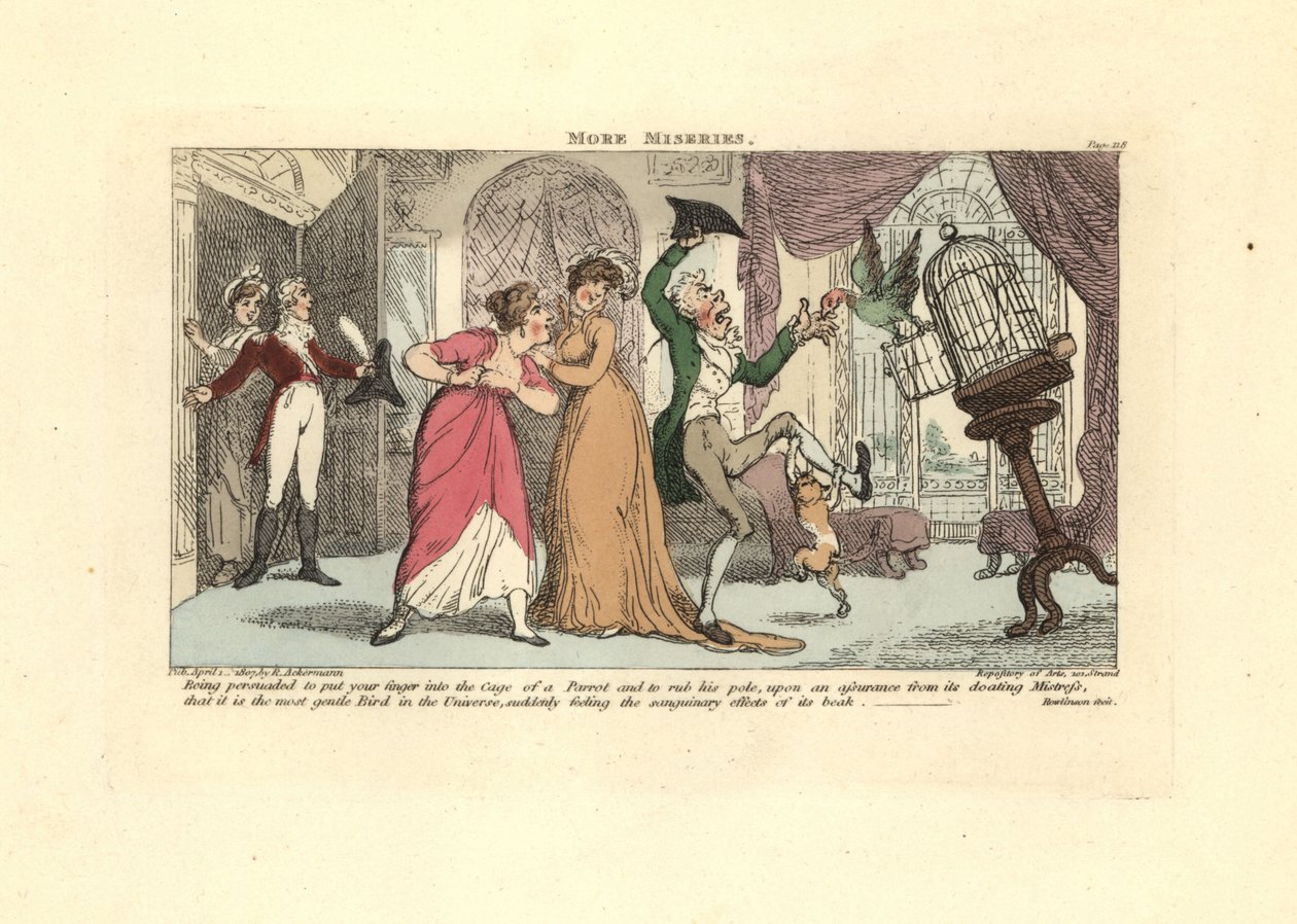 Mann blir angrepet av en papegøye og katt i en salong. av Thomas Rowlandson