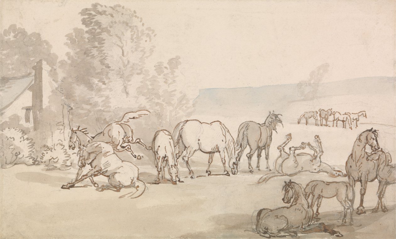 Hoppene og føllene på en eng av Thomas Rowlandson