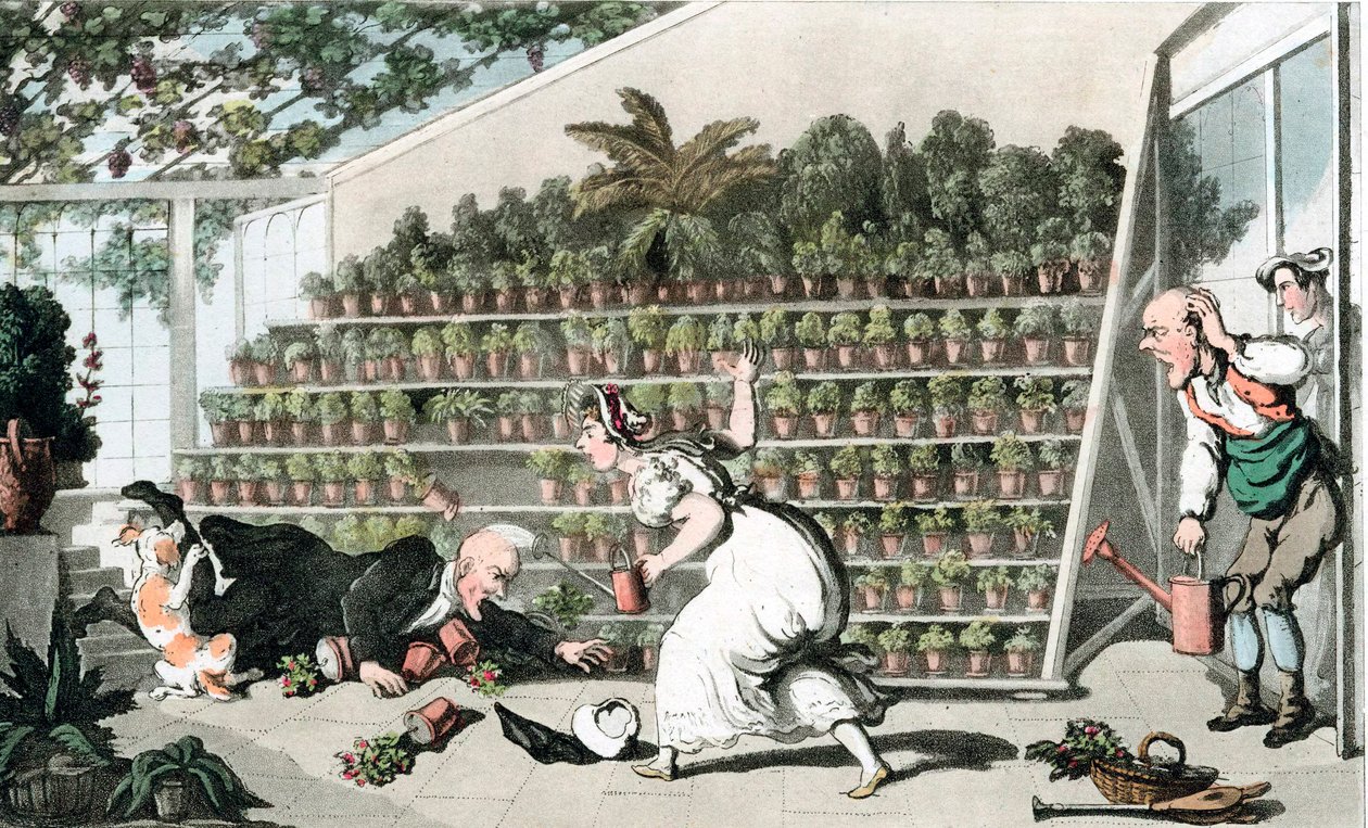 Ulykke i Tulipanhallen, c1816 av Thomas Rowlandson