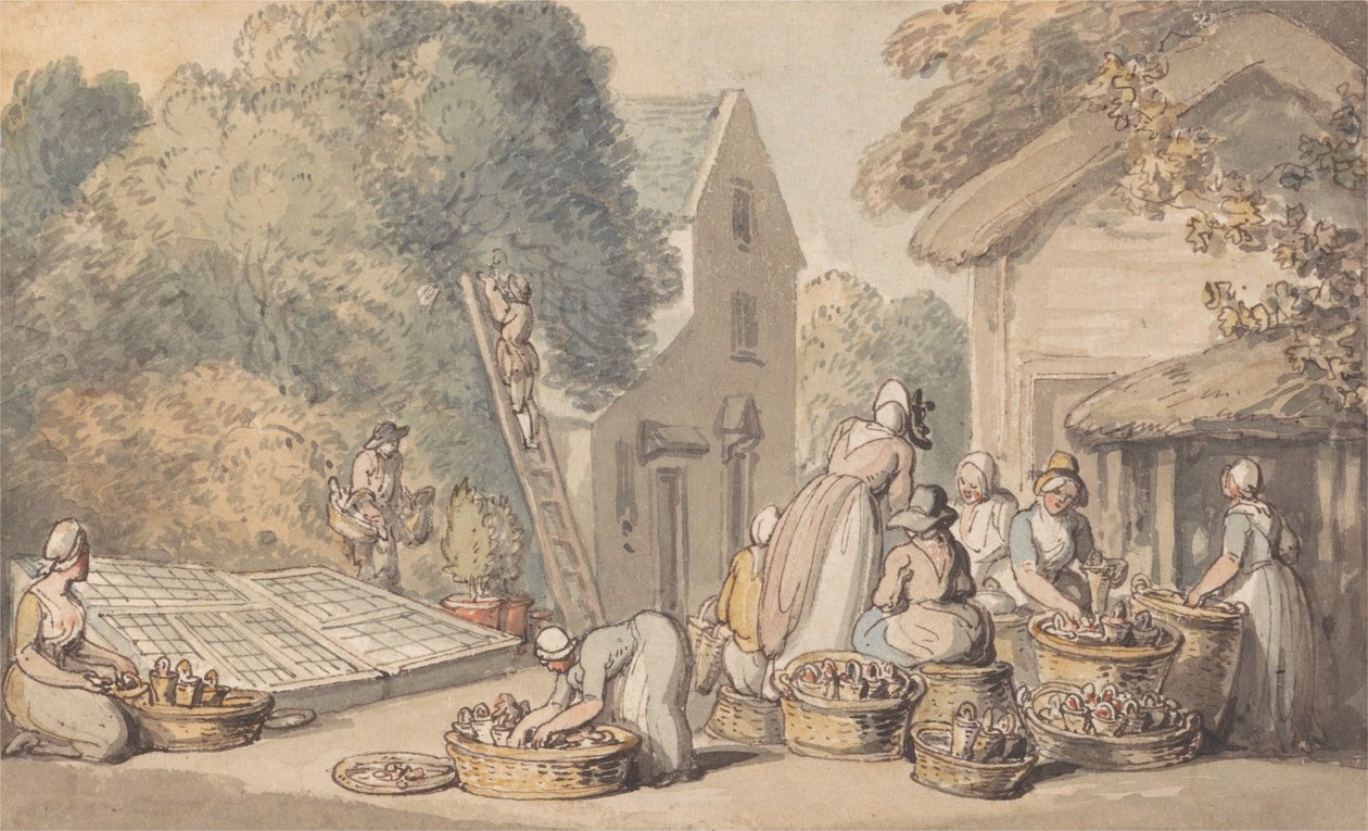 Plukking av morbær av Thomas Rowlandson