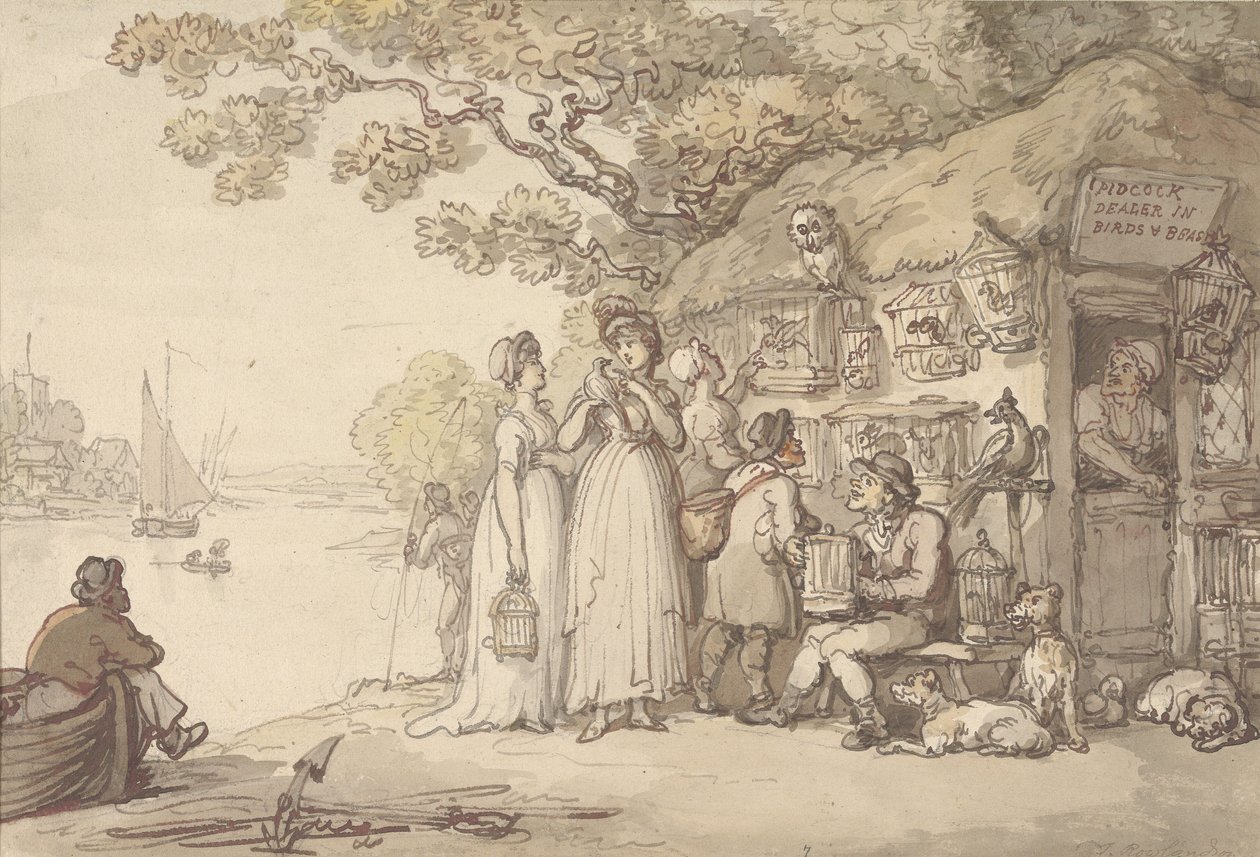 Pidcock, handelsmann i fugler og dyr av Thomas Rowlandson
