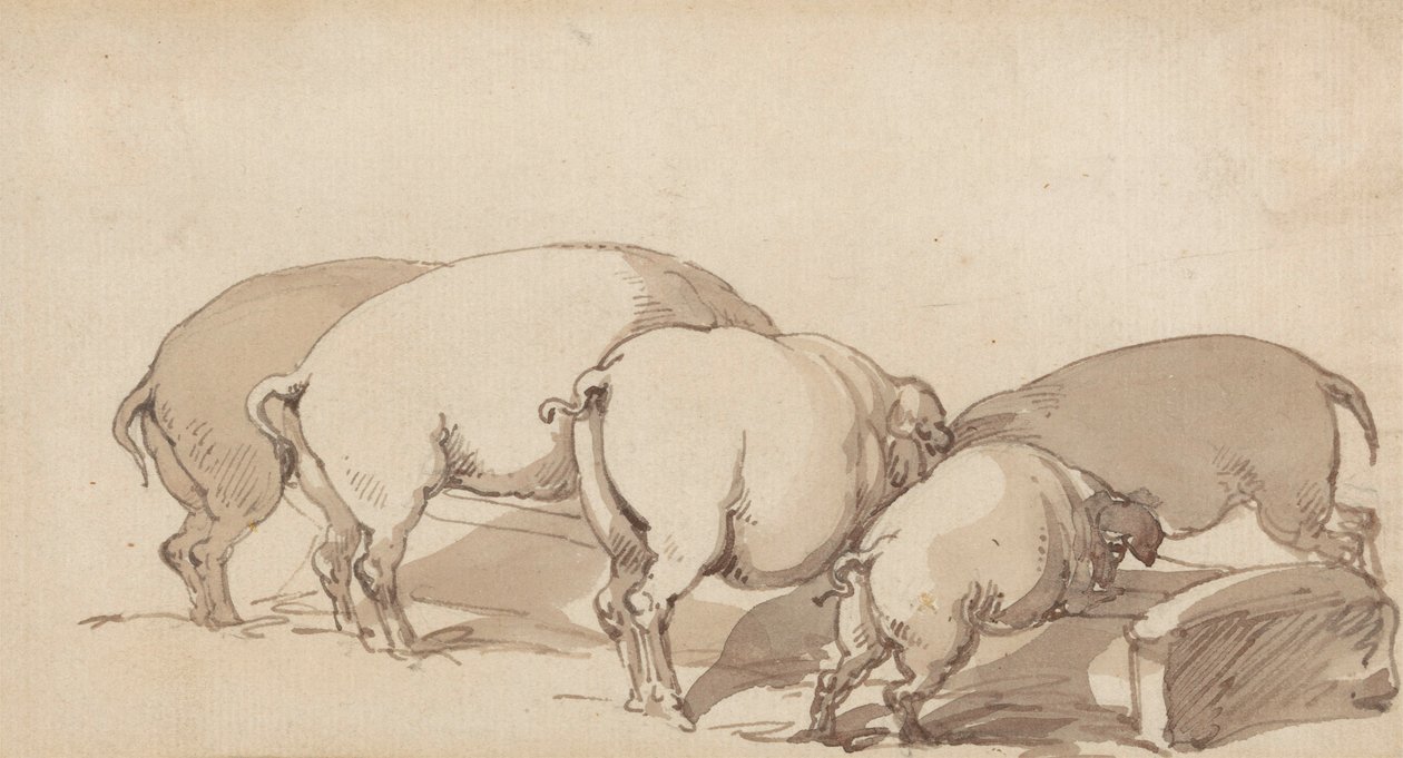 Pigs at a Trough, ca. 1790 (grafitt med penn og blekk og brun vask på papir) av Thomas Rowlandson