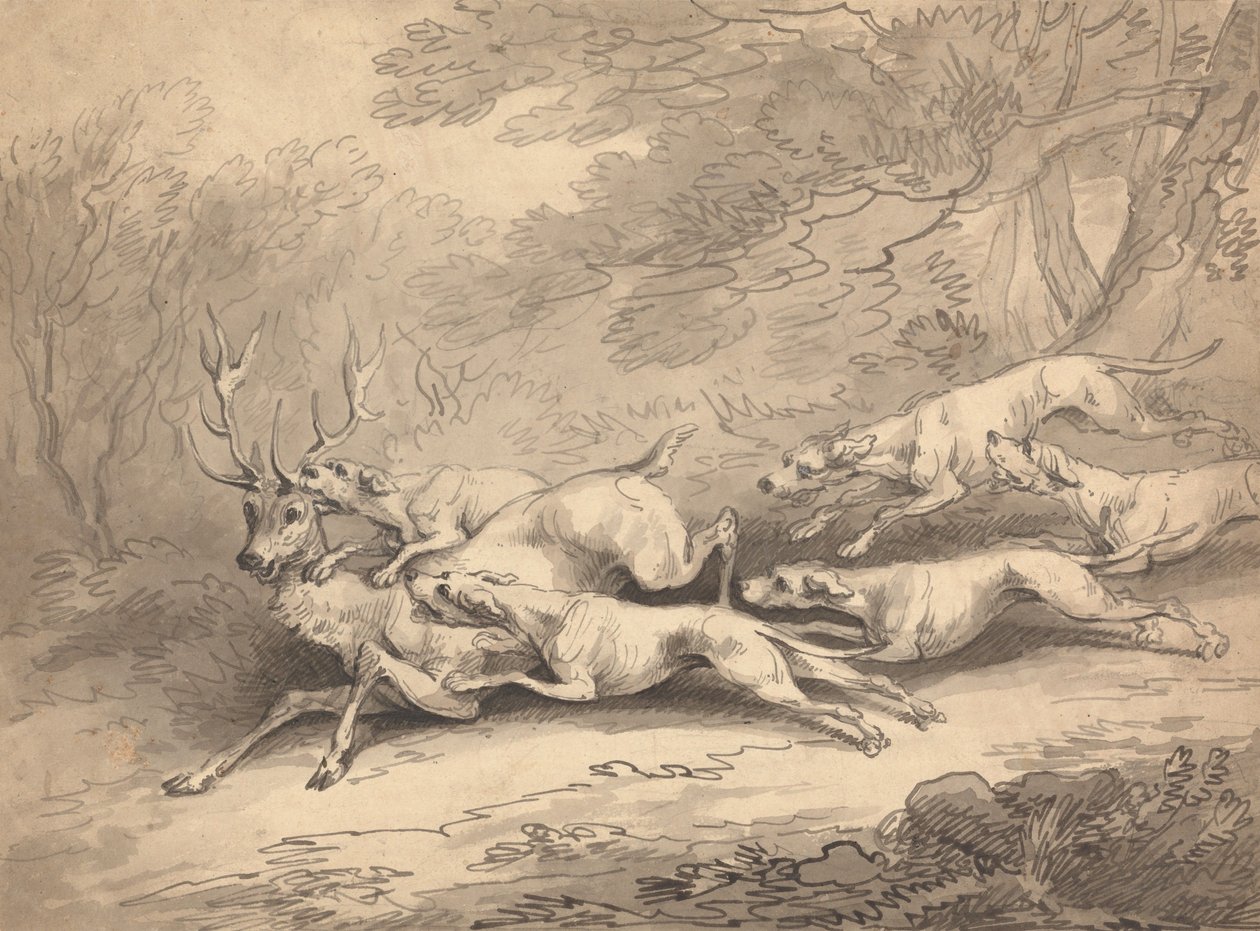 Hjort felt av en flokk hunder av Thomas Rowlandson