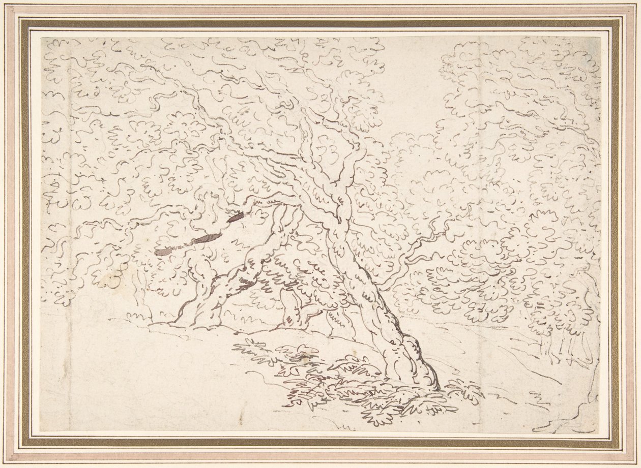 Studie av trær av Thomas Rowlandson
