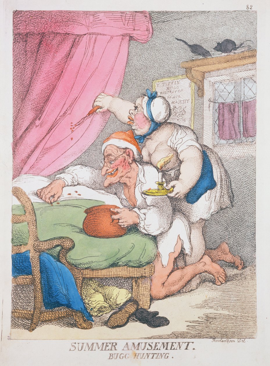 Sommerfornøyelse. insektjakt av Thomas Rowlandson