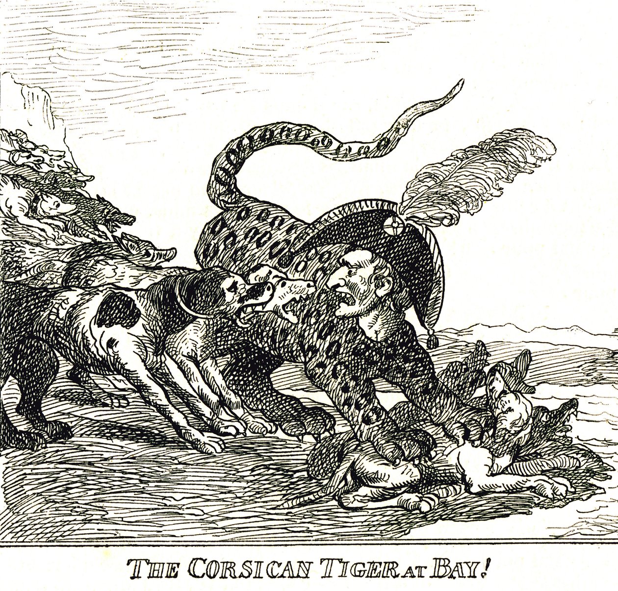 The Barked Corsican Tiger (Napoleon Bonaparte), karikatur 1808 av Thomas Rowlandson