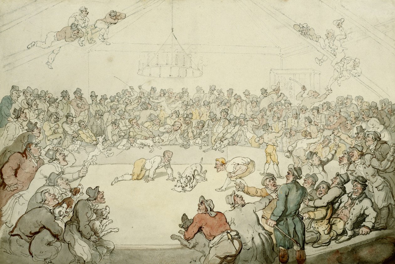 Westminster Pitt, 1798 av Thomas Rowlandson