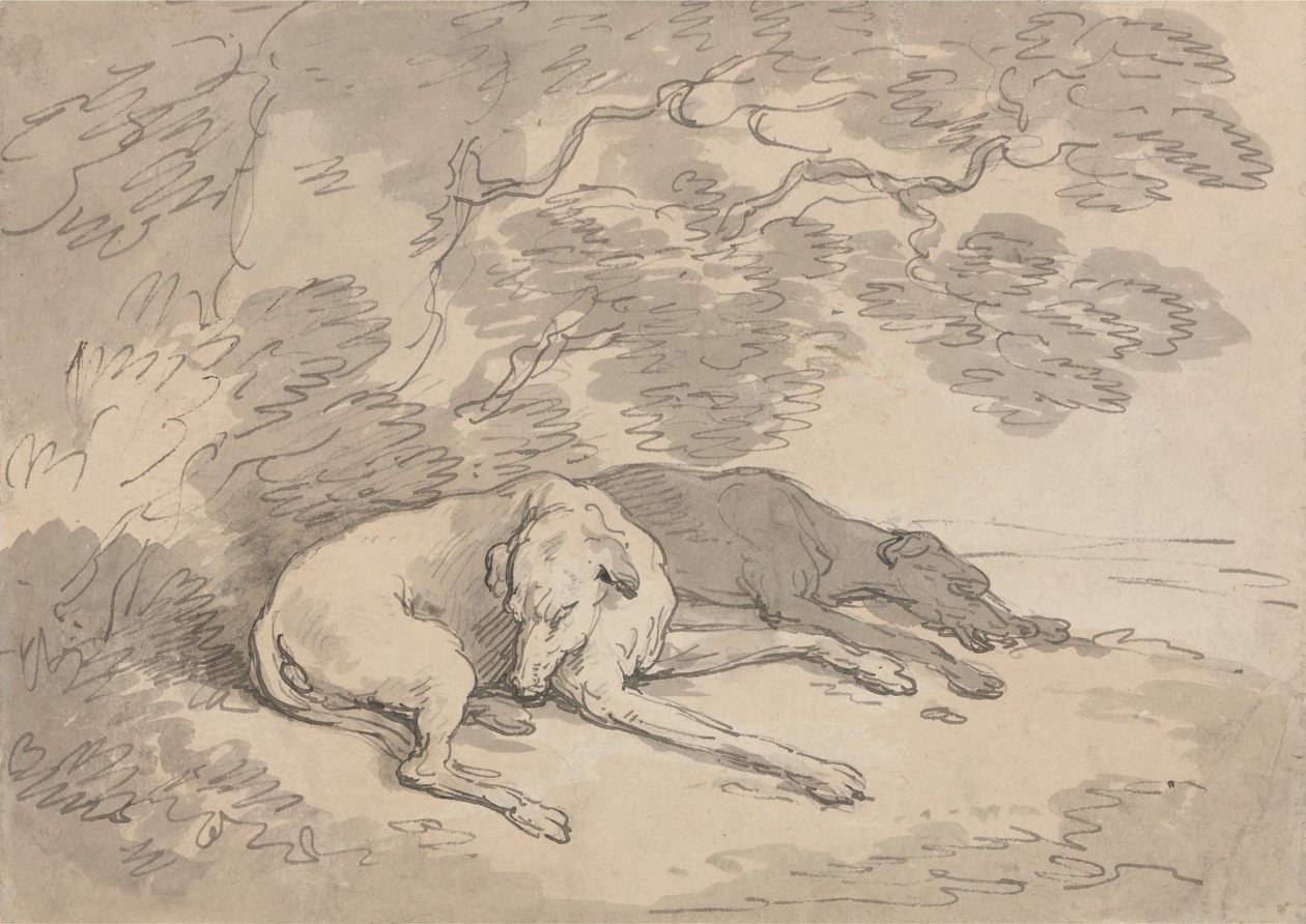 To greyhounds som ligger under et tre av Thomas Rowlandson
