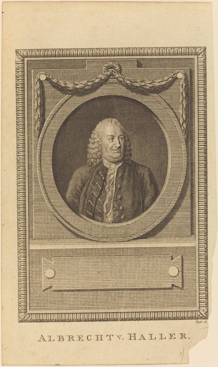 Albrecht V. Haller av Thomas Ryder