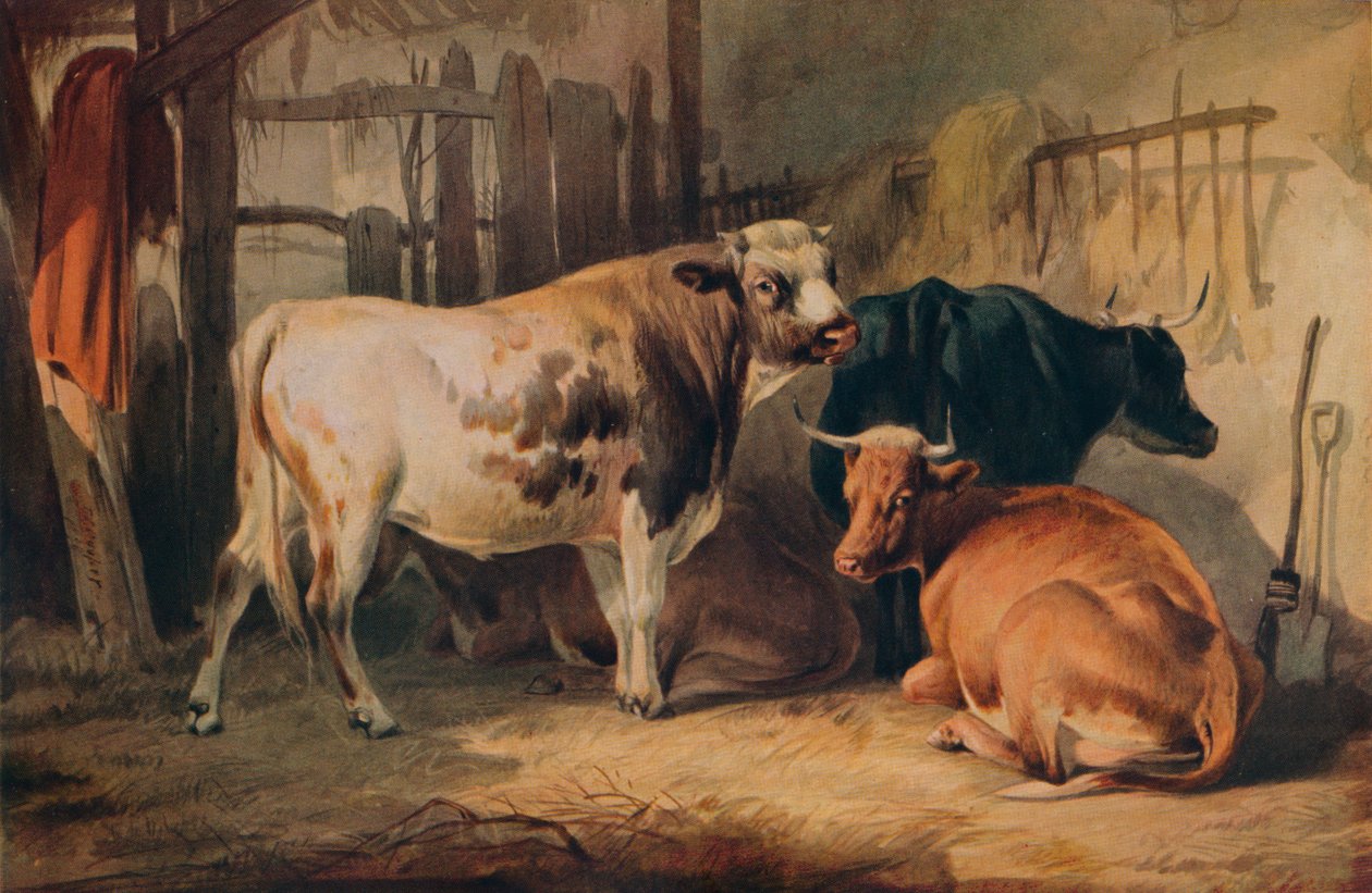 En okse og tre kyr i en stall, c1856 av Thomas Sidney Cooper