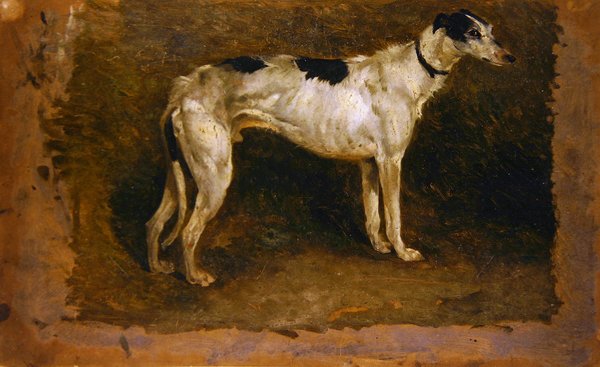 A Lurcher (olje på papir) av Thomas Sidney Cooper