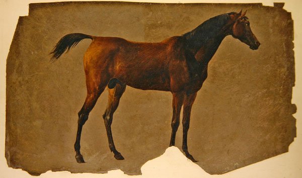 En arabisk hest (olje på papir) av Thomas Sidney Cooper
