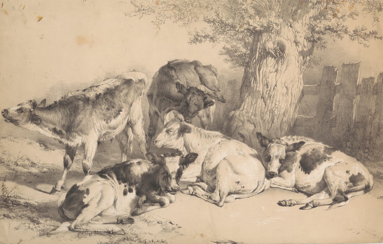 Storfe av Thomas Sidney Cooper