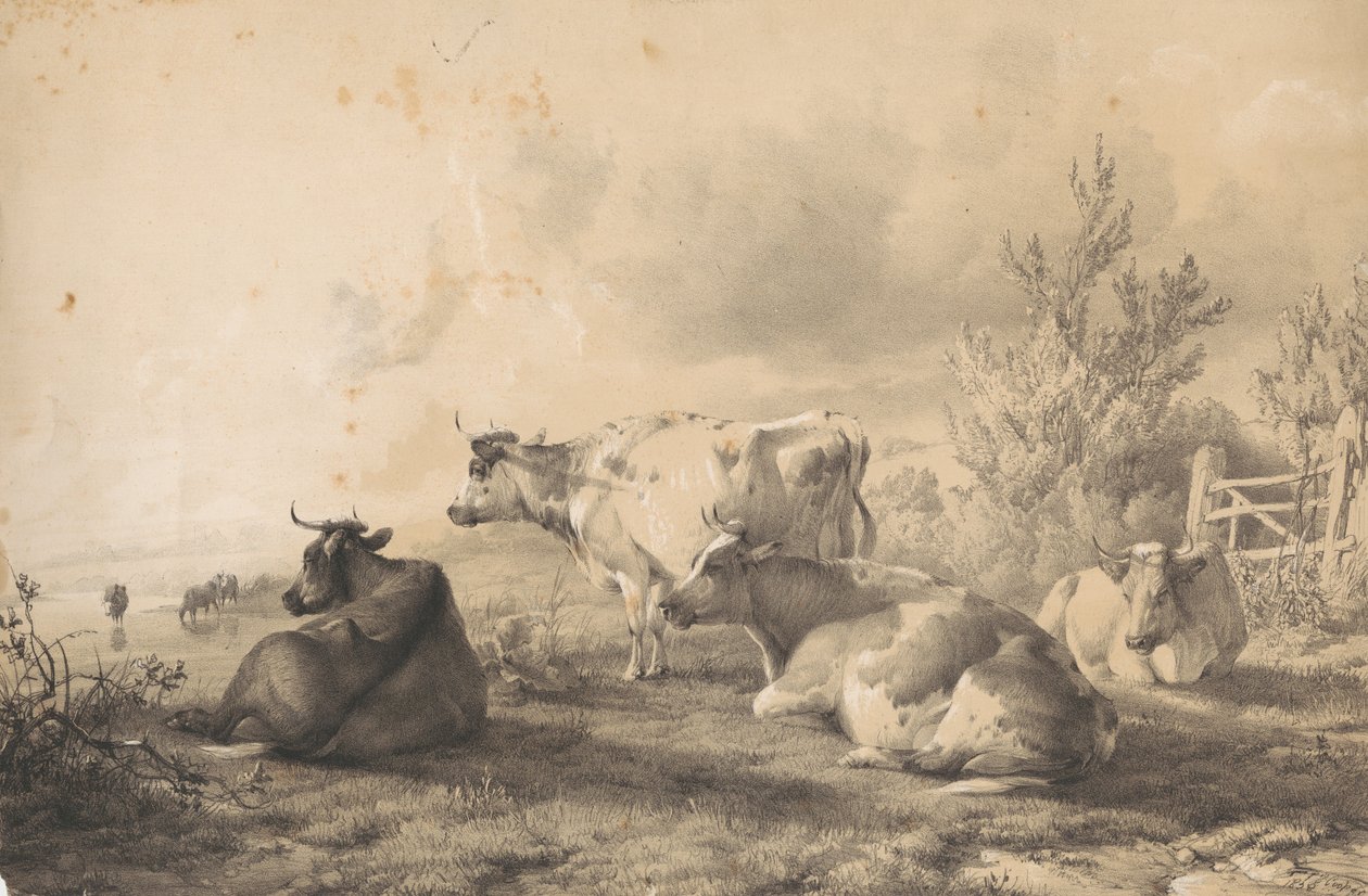 Storfe som ligger ved et gjerde av Thomas Sidney Cooper