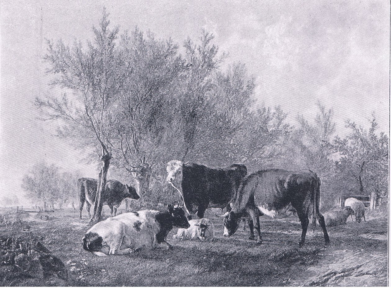 Landskap med storfe, fra The Magazine of Art 1893, Cassell and Company av Thomas Sidney Cooper